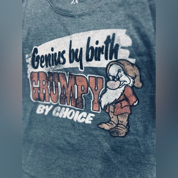 Disneyland By Hanes Genius By Birth Grumpy By Choice Gray T-Shirt Small - Picture 1 of 4